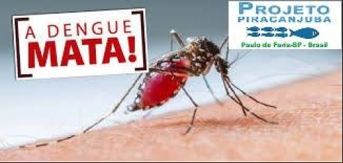 Noticia a-dengue-mata-nao-espere-acontecer-para-agir